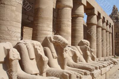 Egypt Series (Lion Statues) Egypt Series (Lion Statues)