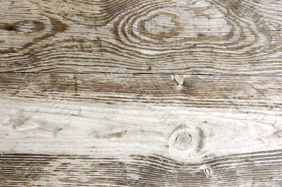 Wood texture