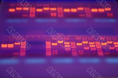 visualization of DNA