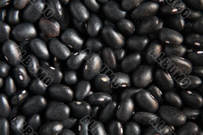 Beans Texture Beans Texture