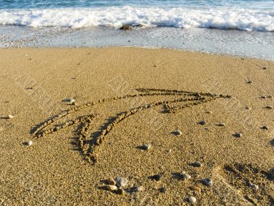 arrow on wet sea sand