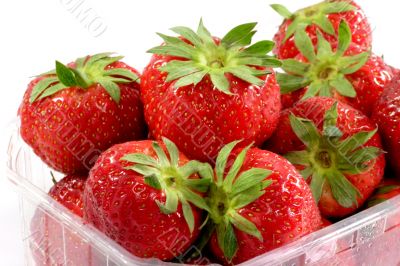 Fresh Strawberries Fresh Strawberries