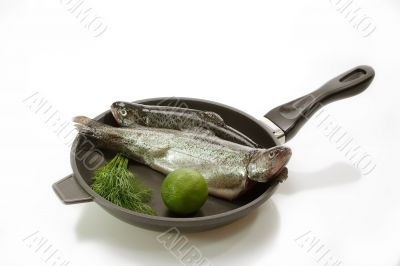 Two Trouts