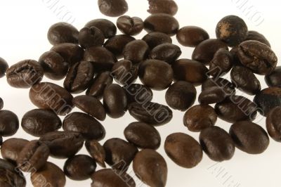 coffee coffee