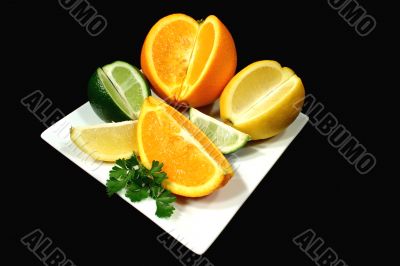 Citrus Selection Citrus Selection