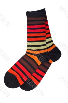 Pair of colorful socks