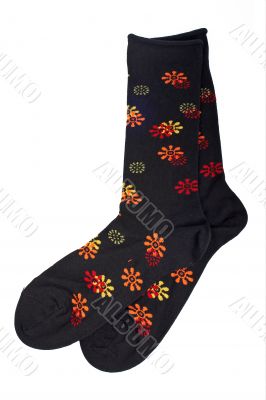 Pair of colorful socks