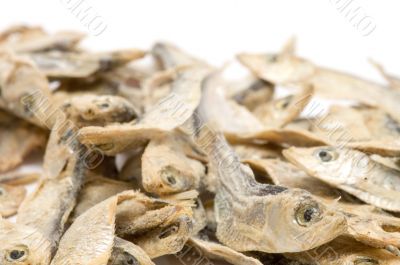 drying sprat