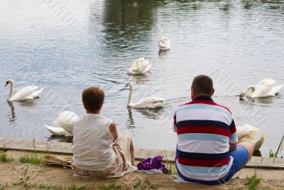 Woman, man and swans on river