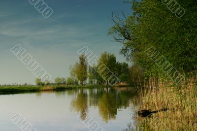 Landscape reflection