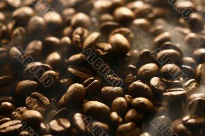 Grains of coffee