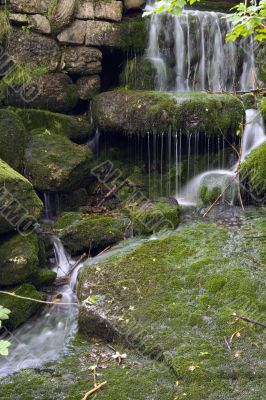 Stream in the Green Stream in the Green