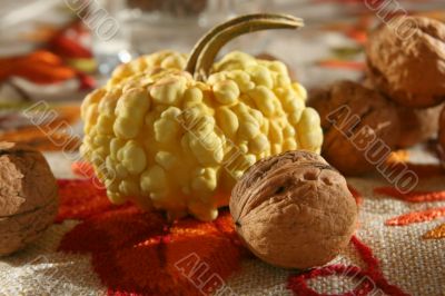 Pumpkin and walnuts