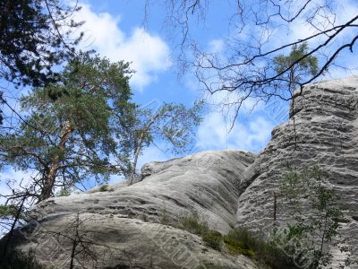 Rocks and trees - polish landscape