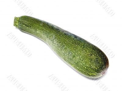 Zucchini