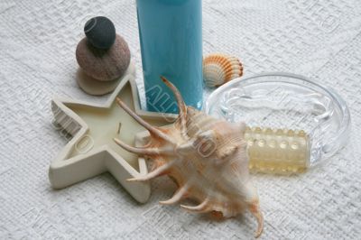 The bathroom still-life