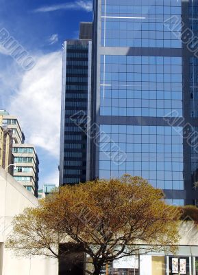 Downtown of Toronto 1