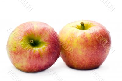 Apple with white background 3
