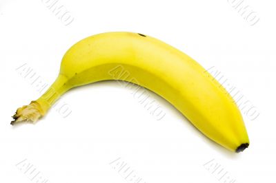 Bananas 1