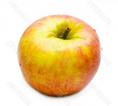 Apple with white background 4