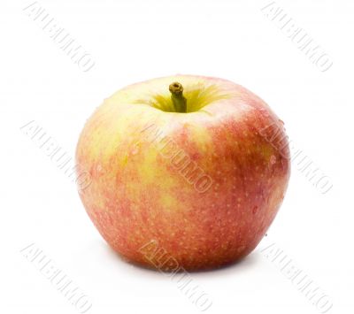 Apple with white background 1