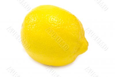 Lemon 1