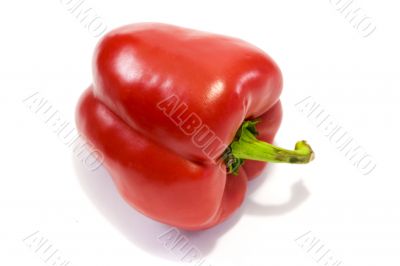 Red sweet bell pepper 2
