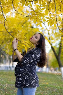 Pregnant woman in autumn park hold the limb
