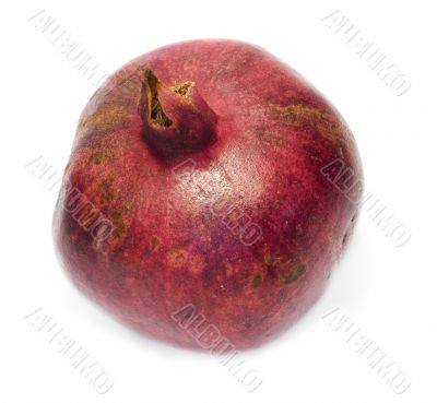 Pomegranate 2
