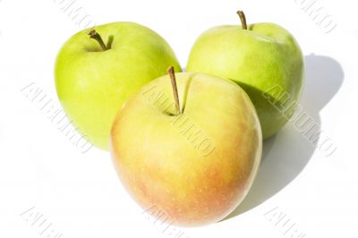 Thre multicolored apples with shadow