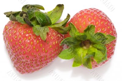 strawberry 4