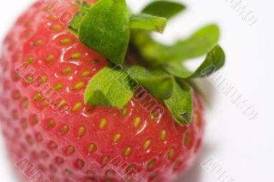 strawberry 3