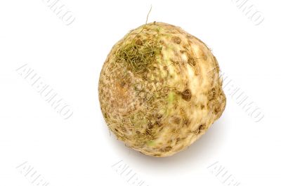 root celery