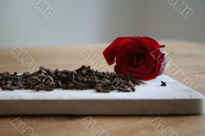 carnation and rose petal