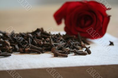 carnation and rose petal