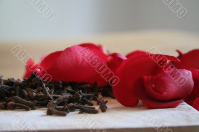 carnation and rose petal