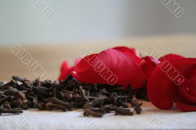 carnation and rose petal