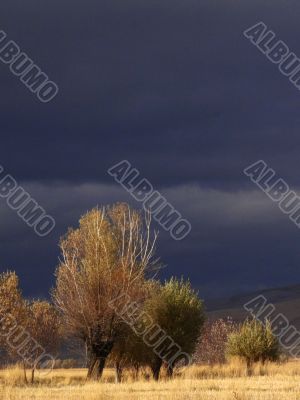 Sun in the Thunderstorm