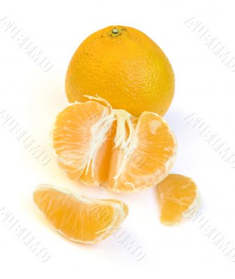 Naked and dressed - still lfe with tangerines