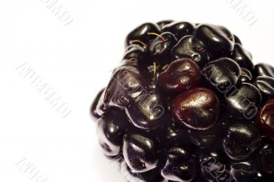 Macro close-up of blackberry 5