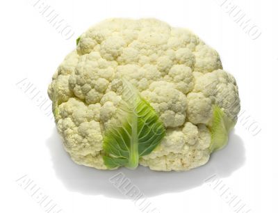 Cauliflower 2