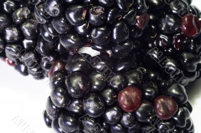 Macro close-up of blackberry 4