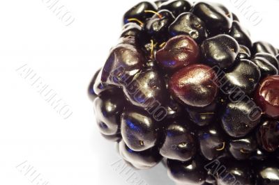 Macro close-up of blackberry 2