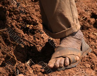 poor farmer in south america