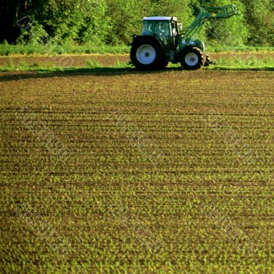 Tractor on a field