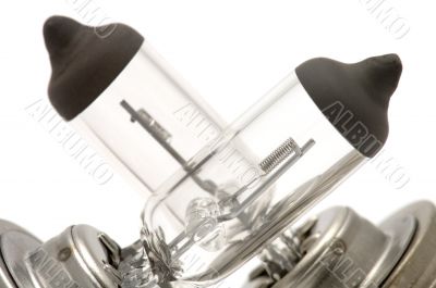 halogen bulb close up