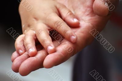 hands in hands hands in hands