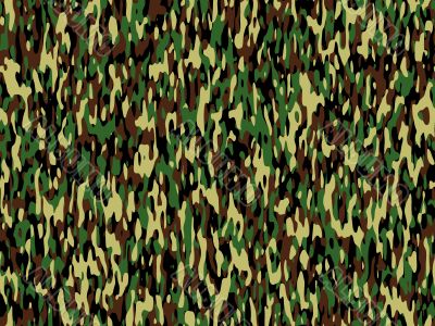 camouflage style pattern