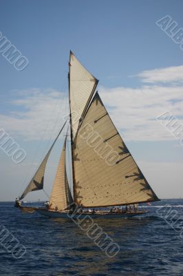 sailing boat in regata