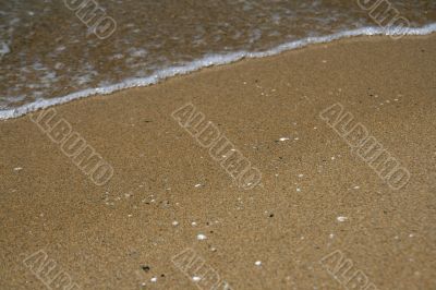 Sea wave
